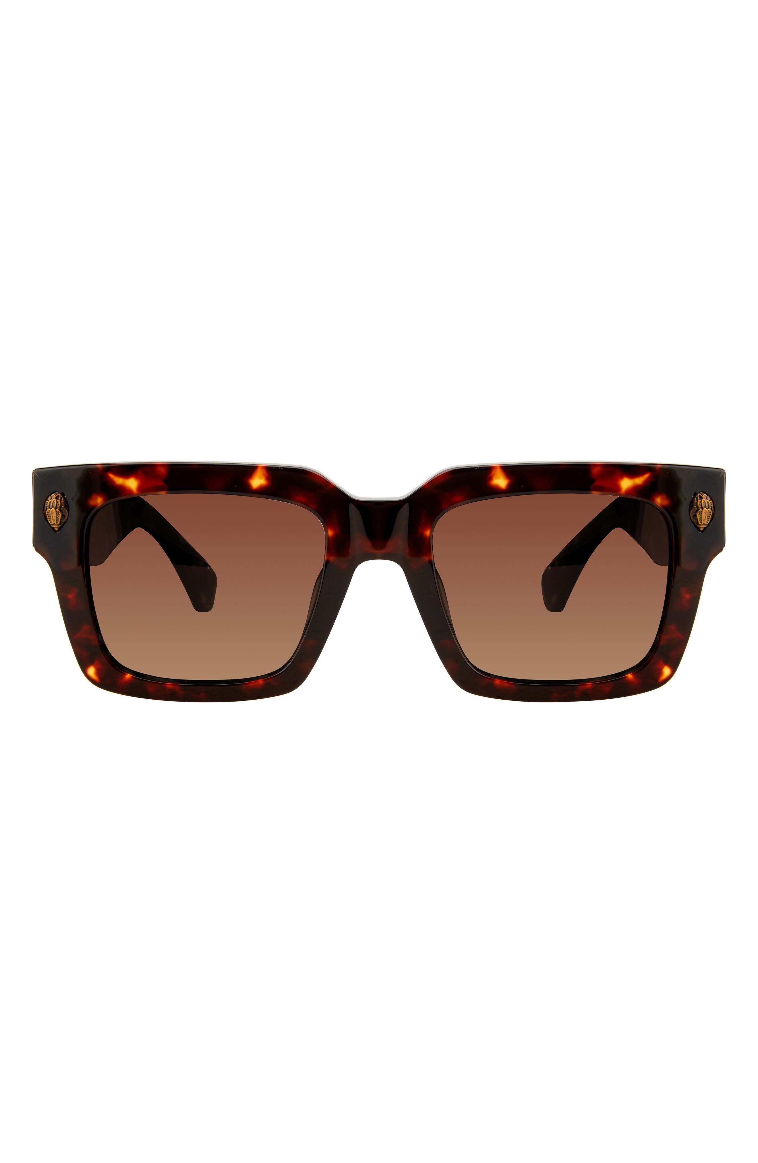 HAVANA/ BROWN