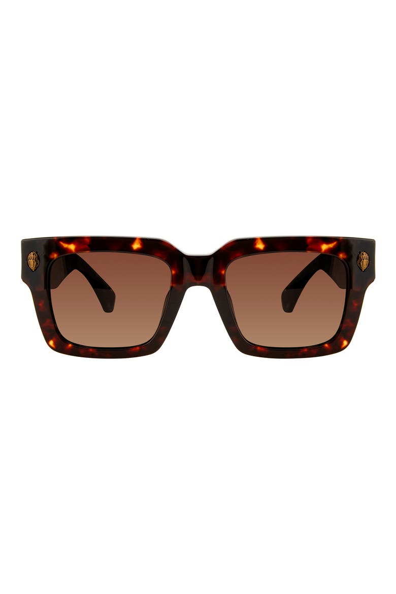 50mm Square Sunglasses, Main, color, HAVANA/ BROWN