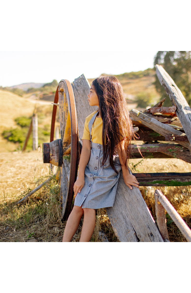 Jackalo Kids' Parker Pinafore Skirt, Alternate, color, Blue Gray