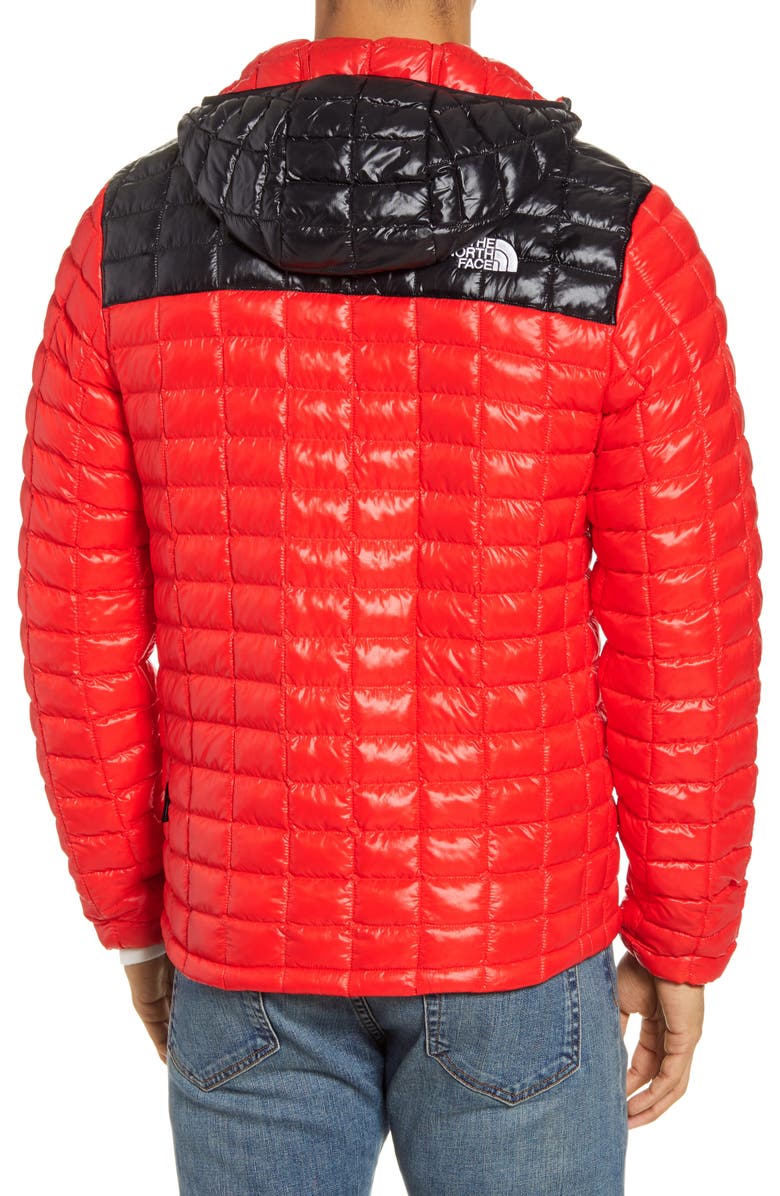 The North Face ThermoBall<sup>™</sup> Eco Hooded Parka, Alternate, color,