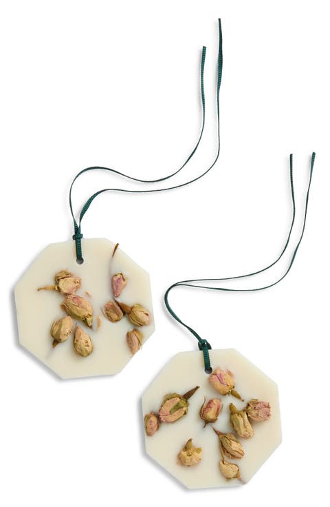 Damask Rose Botanical Palets