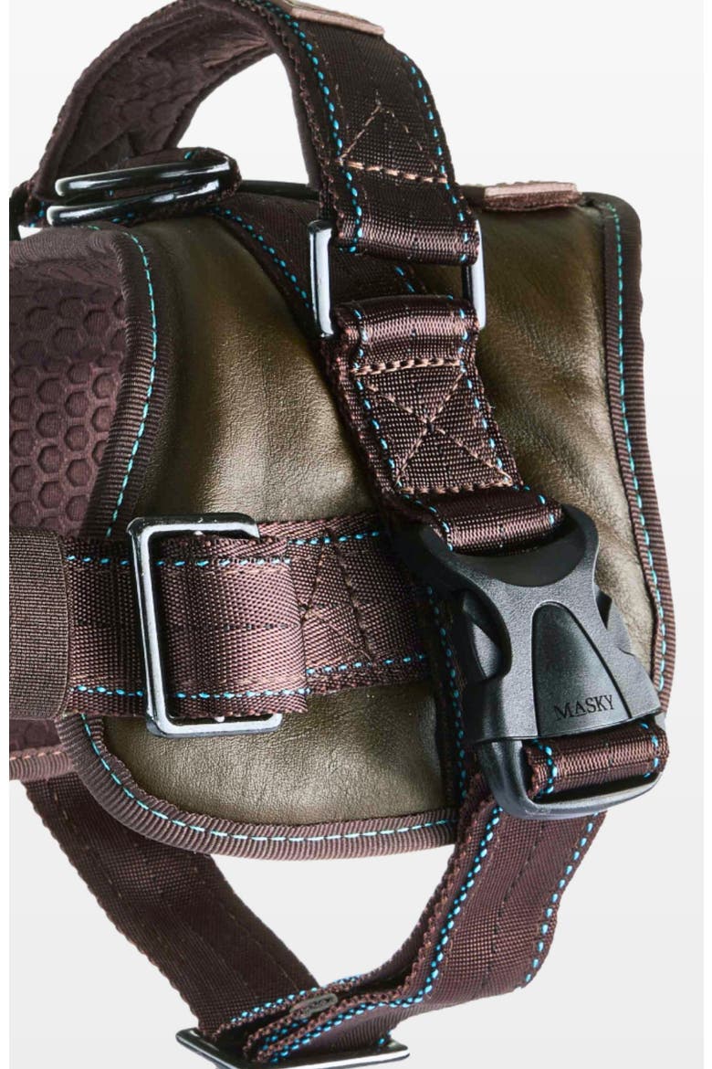 Signature Leather Dog Harness, Alternate, color, Medium Green