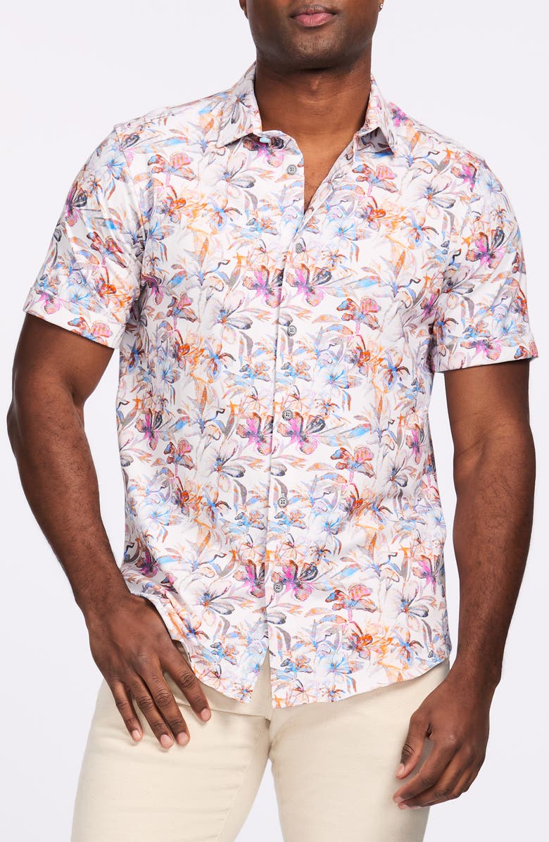 Robert Graham Short Sleeve Stretch Cotton Button-Up Shirt, Main, color, 