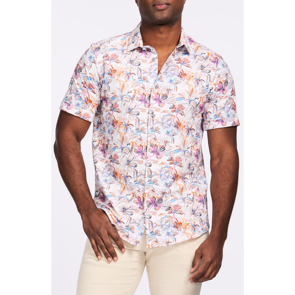 Shop Robert Graham Short Sleeve Stretch Cotton Button-up Shirt In White