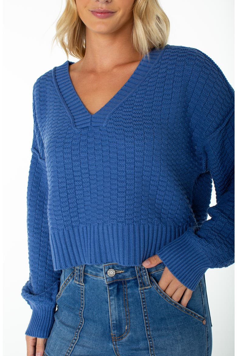Study Hall V-Neck Cotton Blend Sweater, Alternate, color, DUTCH BLUE