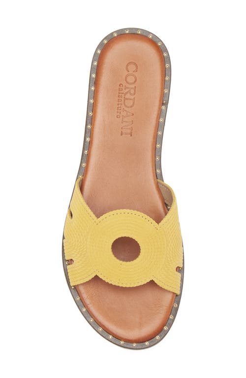 Cordani Slide Sandal Fiorella In Goldenrod