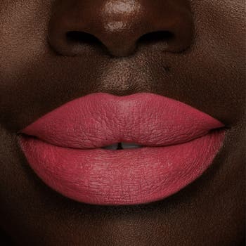 Perfectionist Lip Pencil