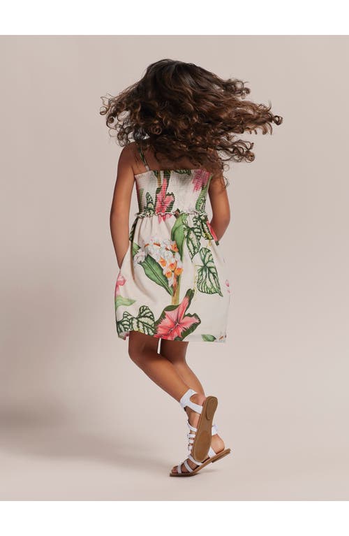 Tori Richard Tori's Garden Adalei Dress In Multi