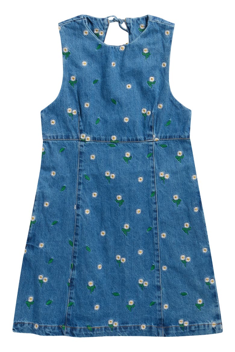 Embroidered Empire Waist Denim Minidress, Main, color, FLOWER BATH