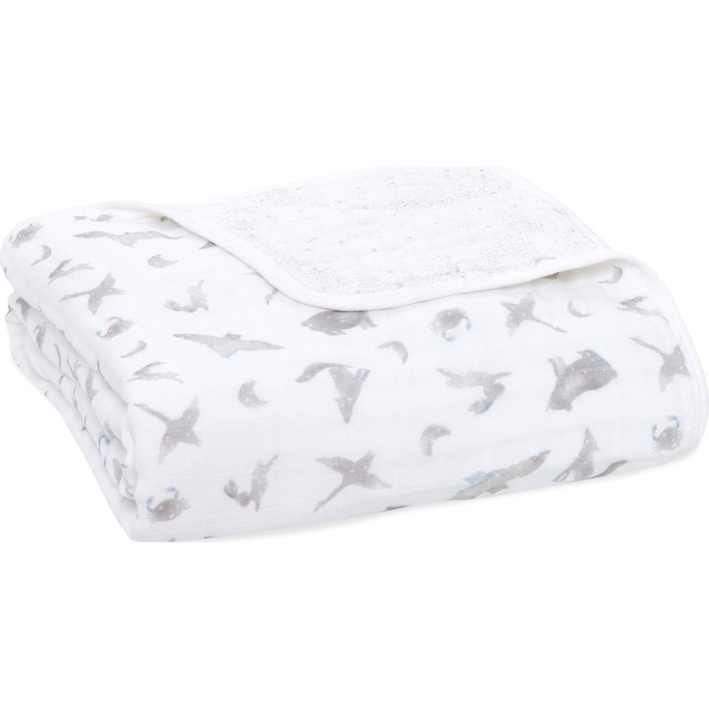 aden + anais Dream Organic Cotton Muslin Blanket in Map The Stars Grey