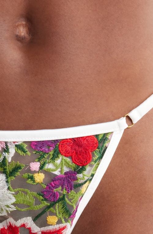 Kilo Brava Lace G-string Thong In Multicolor Floral