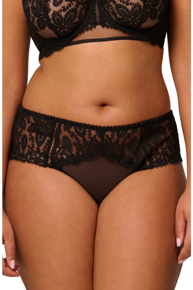 Lace Trim Tulle Briefs, Alternate, color, BLACK