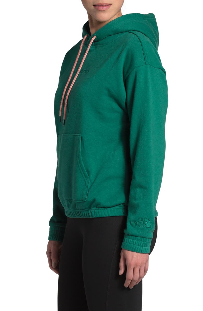 The North Face Rogue Drawstring Hoodie, Alternate, color,