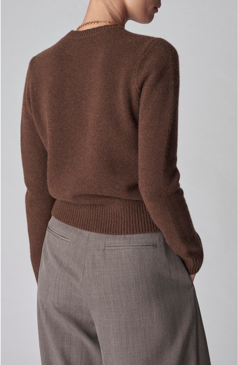 CO Classic Crew Sweater  in Cashmere, Alternate, color, 