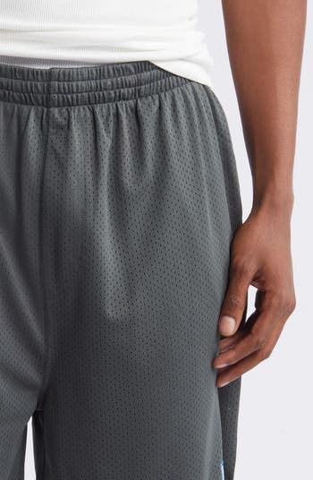 Mesh Gym Shorts