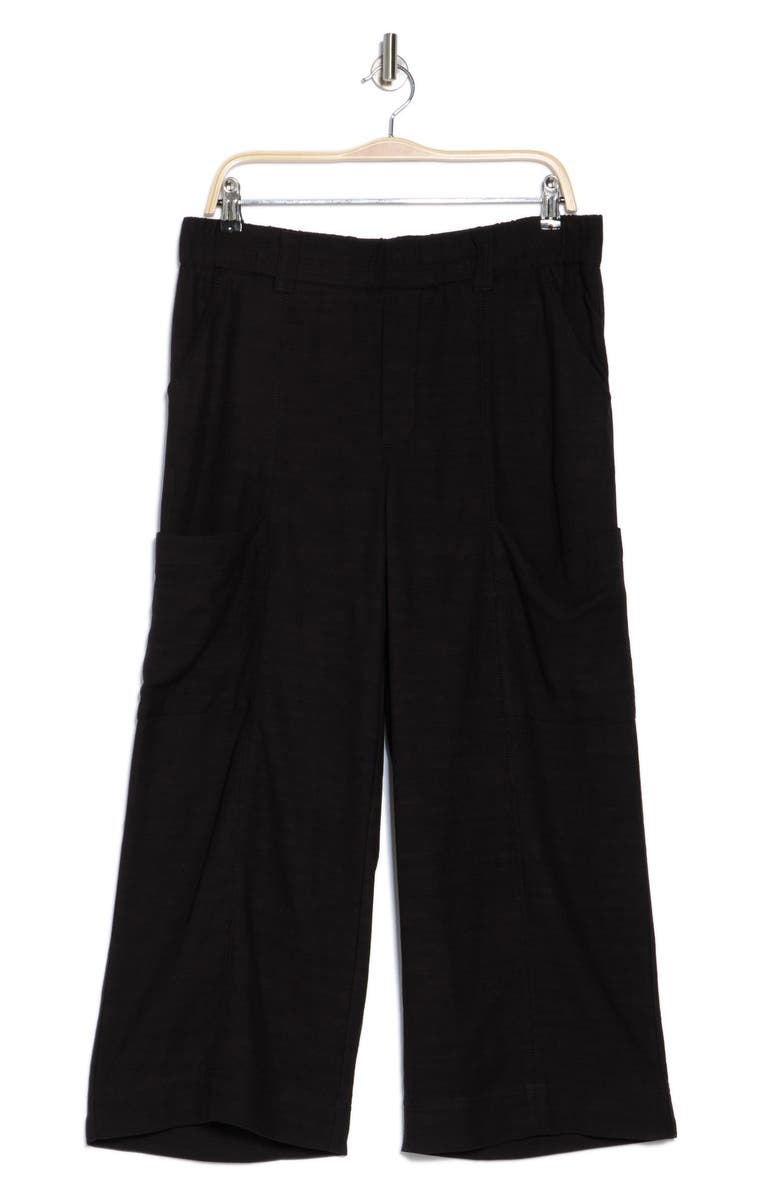 Democracy Pull-On Crop Wide Leg Pants, Alternate, color,
