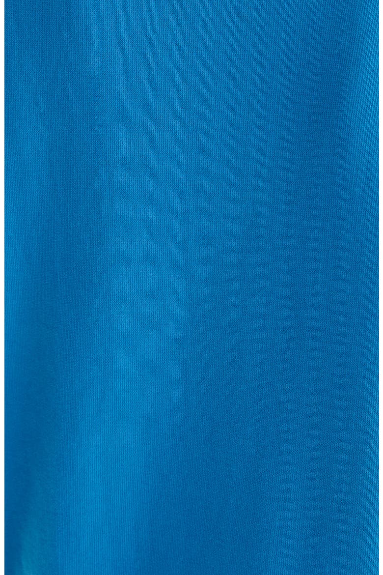 Harril Cotton T-Shirt, Alternate, color, BLUE