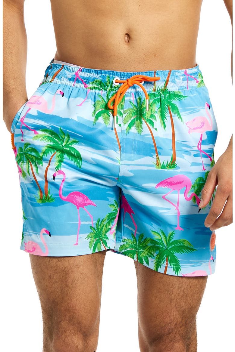 Flaminguy Stretch Swim Trunks, Main, color, MISCELLANEOUS