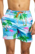OppoSuits Flaminguy Stretch Swim Trunks