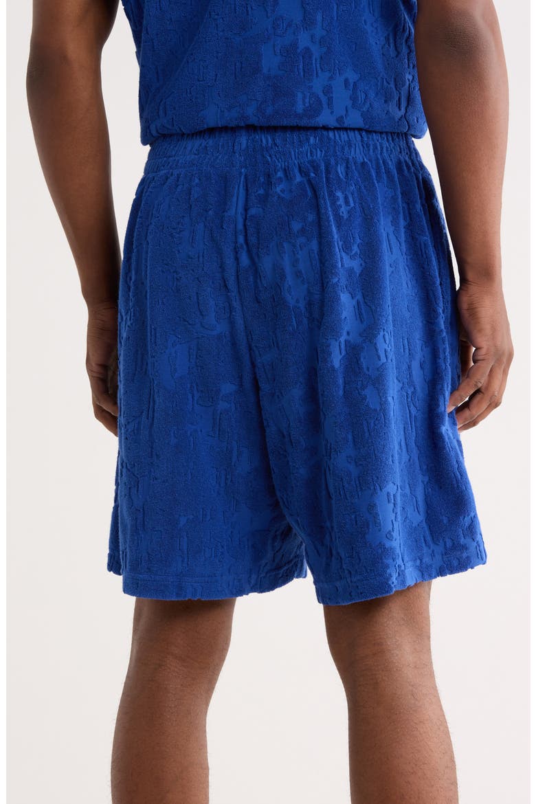 Terry Cloth Shorts, Alternate, color, BLUE