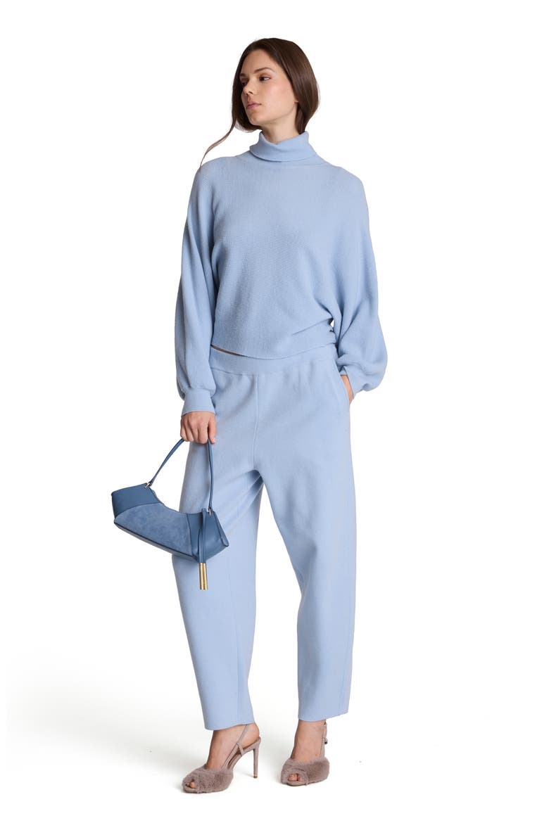 Shaker Crop Turtleneck Sweater, Alternate, color, SERENE BLUE