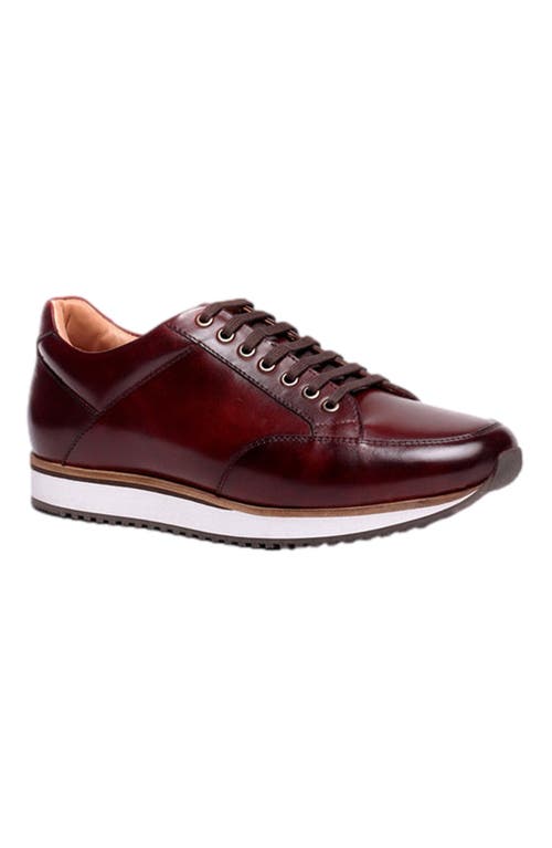 A. Veer Brooklyn Sneaker in Burgundy  product