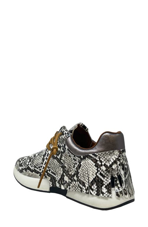 Shushop Pepa Snake Embossed Sneaker In Brown Snake