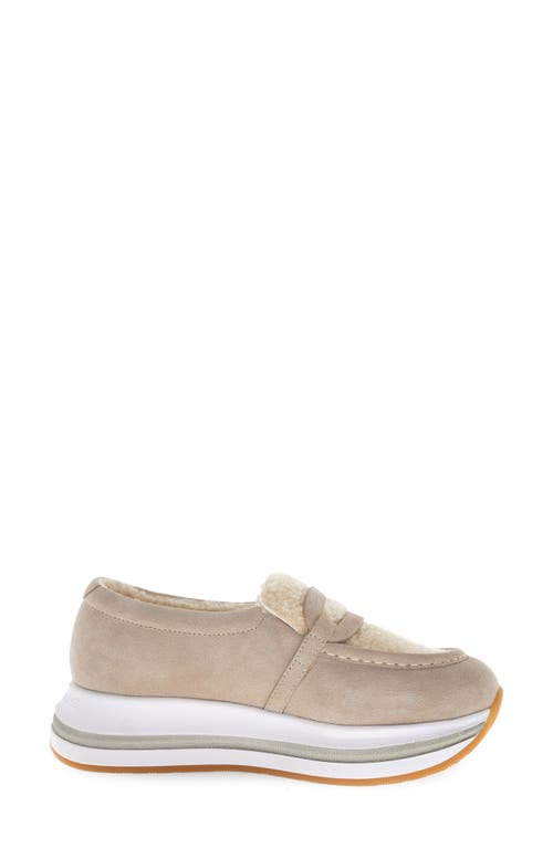 Voile Blanche Merry Genuine Shearling Loafer In Neutral