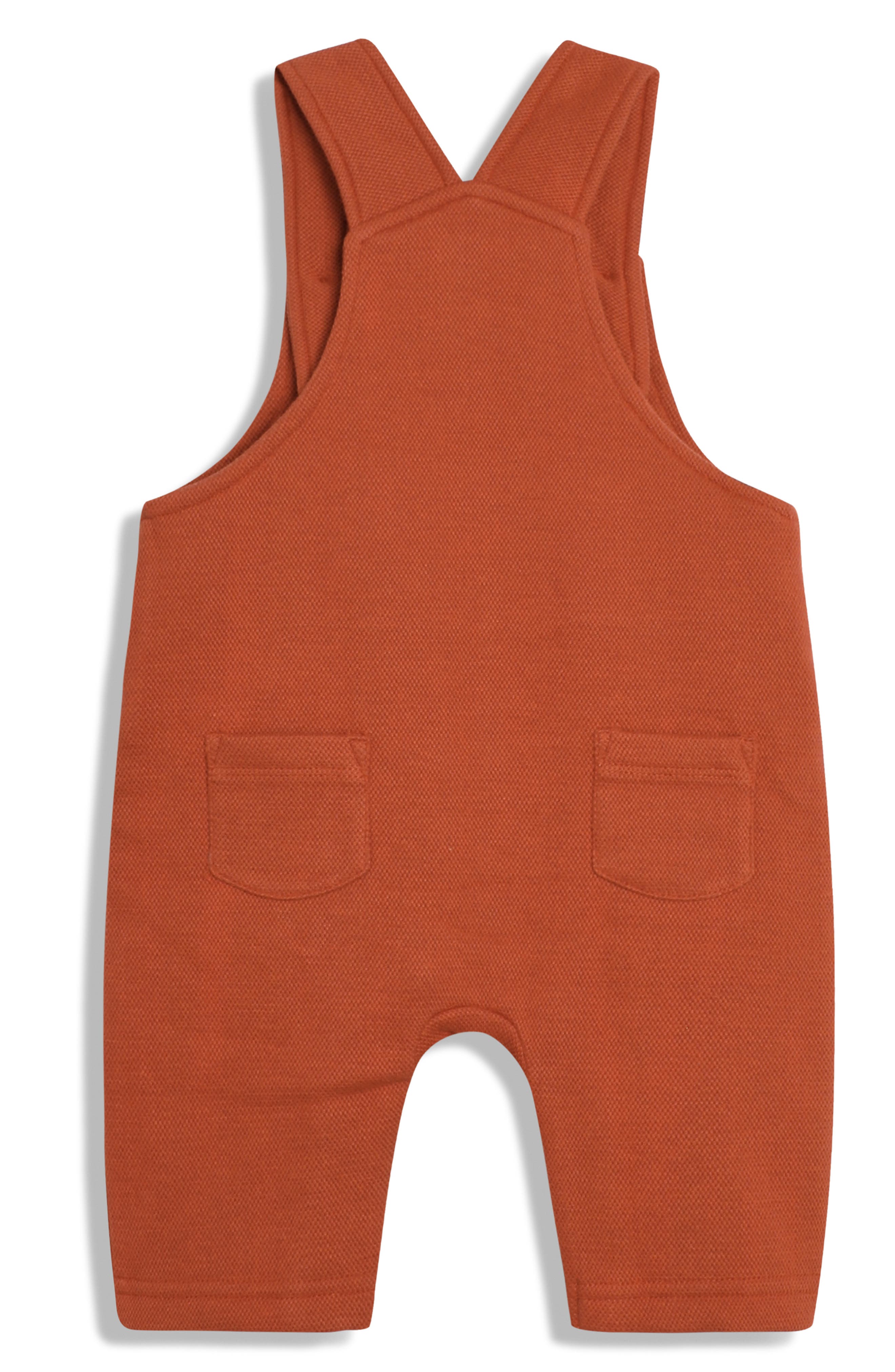 JOJO MAMAN BEBE Forest Friends T-Shirt & Overalls Set (Men) | Nordstrom