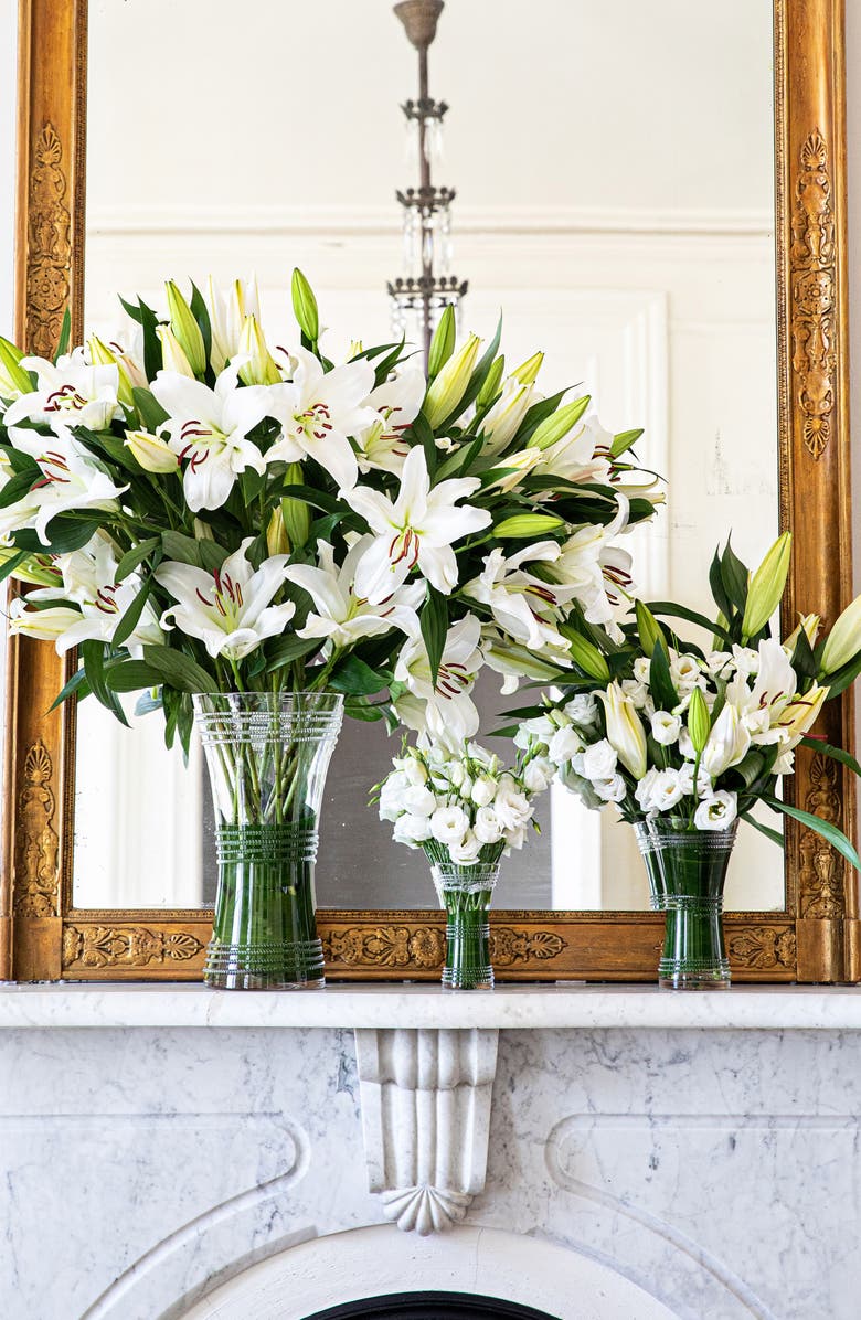 Juliska Ella 6-Inch Corset Vase, Alternate, color, Clear