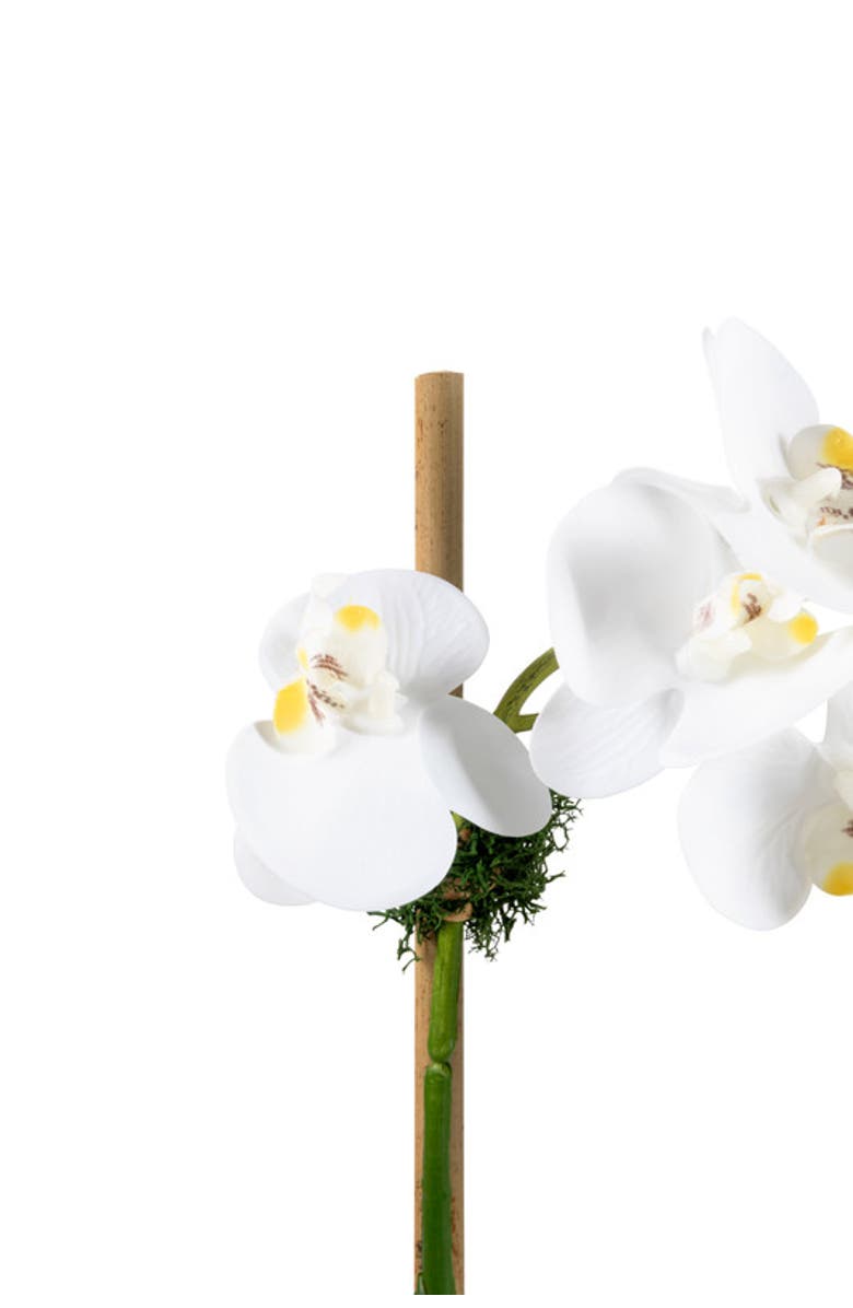 CocoBella Wesley RealTouch Cement Orchid, Alternate, color, White