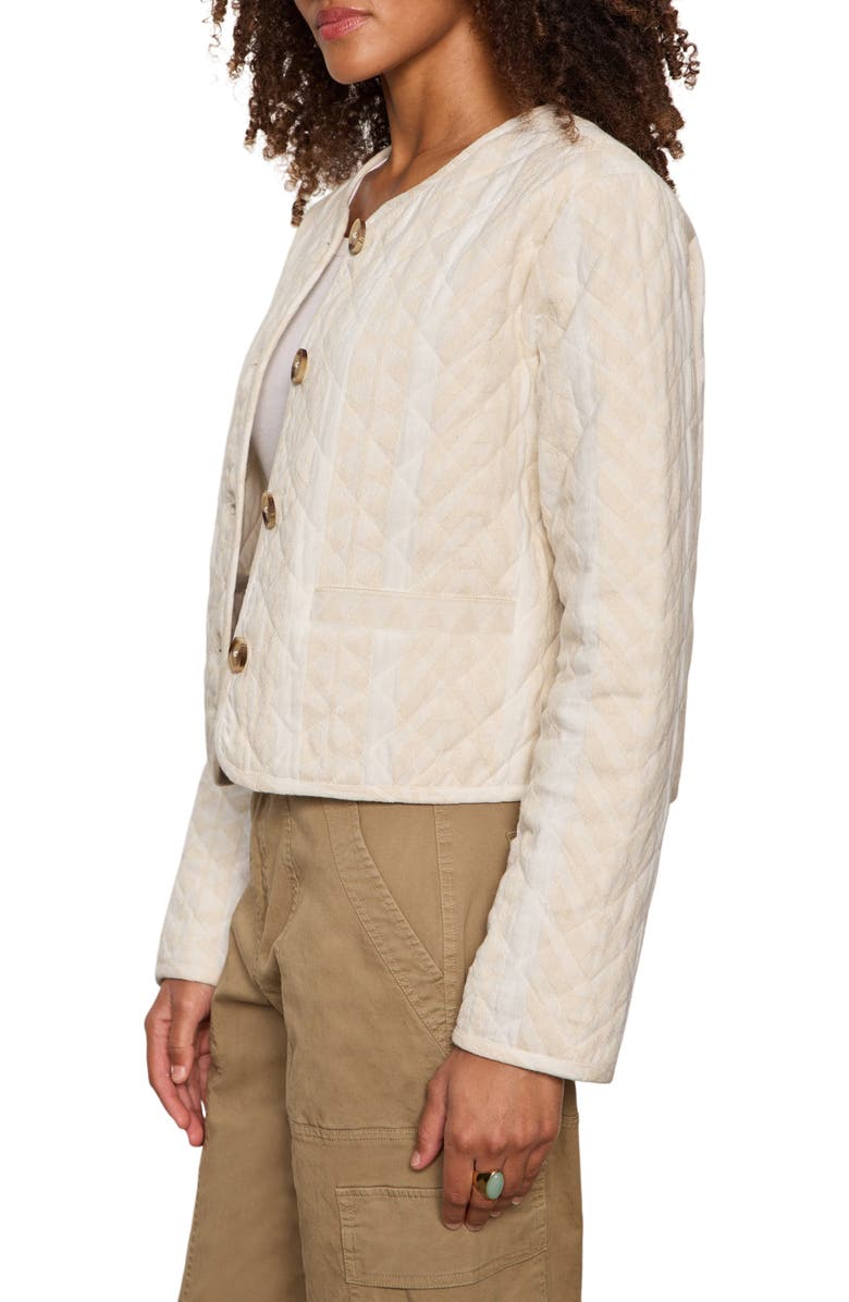 Sanctuary Coco Geo Quilted Jacket, Alternate, color, Collagen White Stripe
