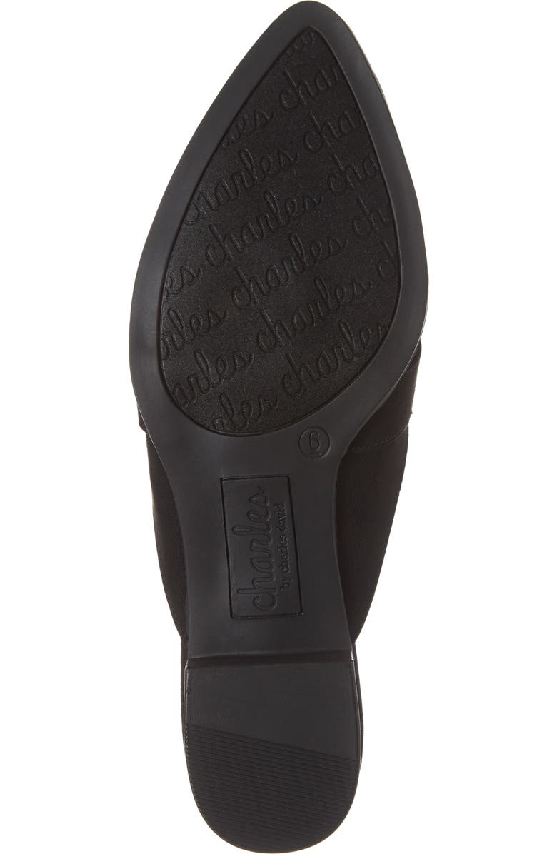 Charles by Charles David Elijah Mule, Alternate, color,