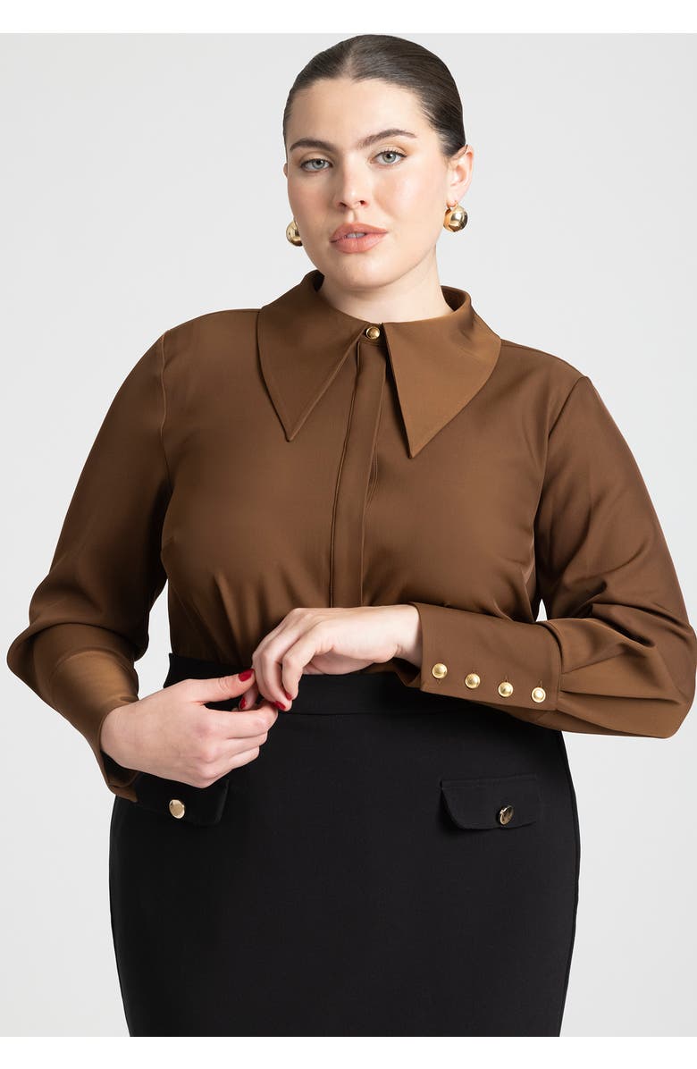 ELOQUII Pointed Collar Button Up Shirt, Alternate, color, Carafe