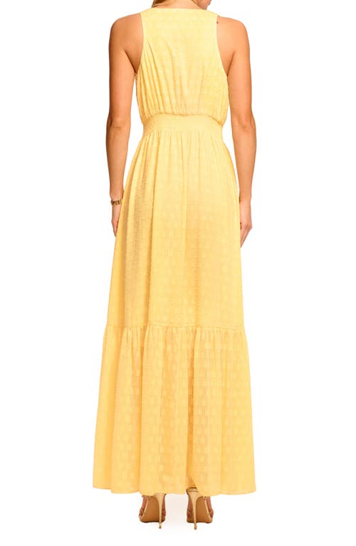 Ramy Brook Gisela Plunge Neck Clip Dot Maxi Dress