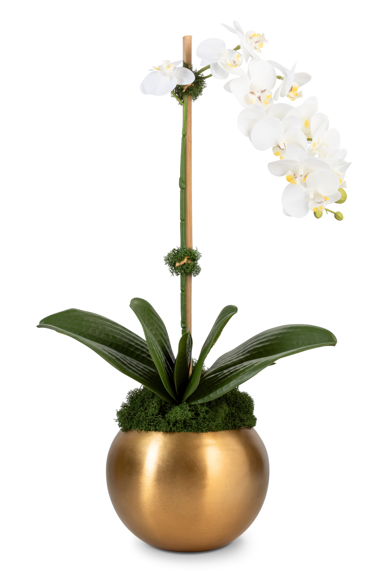 Adeline Gold RealTouch Orchid, Main, color, Gold