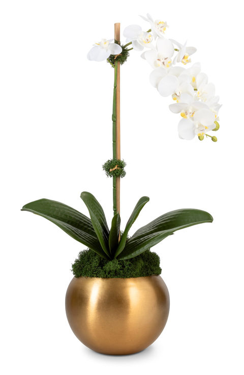 Adeline Gold RealTouch Orchid