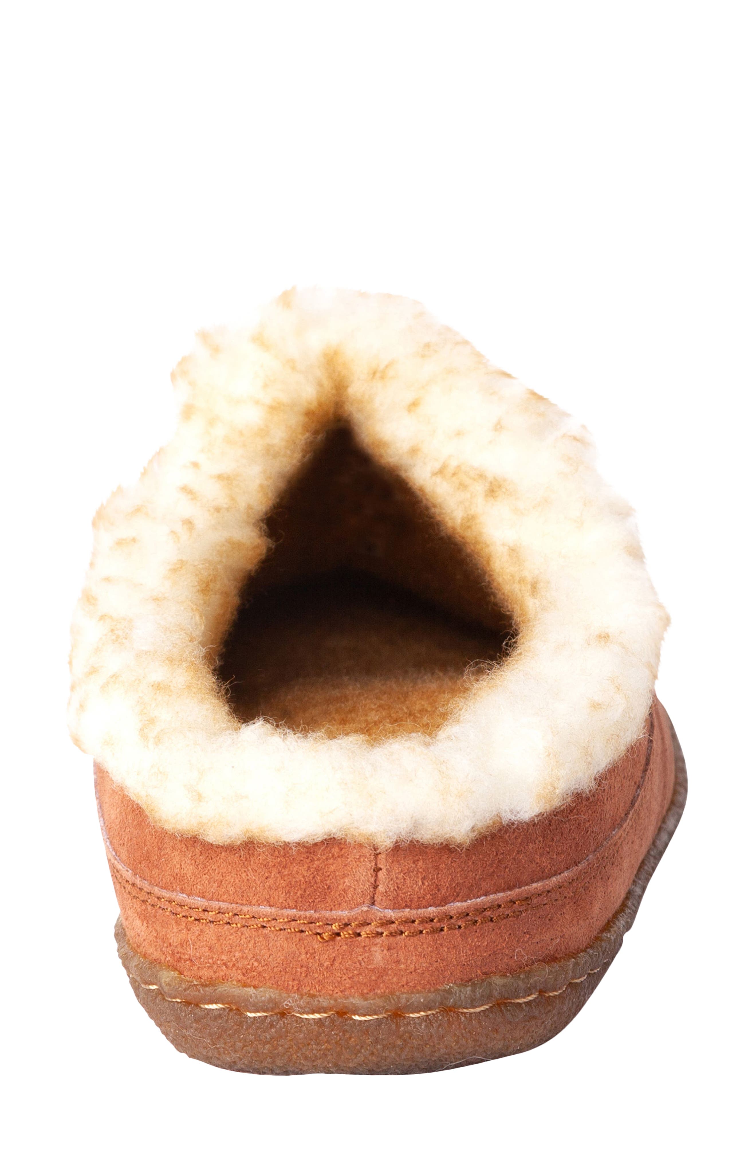 Old Friend Ragnar Slipper, Alternate, color, 