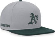 Nike Men's Nike Gray/Green Athletics Primetime Pro Dri-FIT Snapback Hat