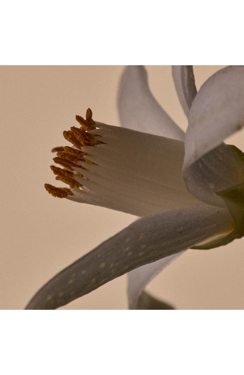 Aesop Solais Replenishing Hand Serum, Alternate, color, 