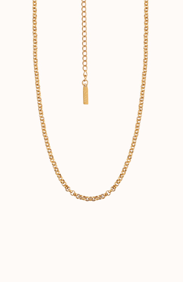 Joiana Jewelry The Everyday Belcher Chain, Main, color, 