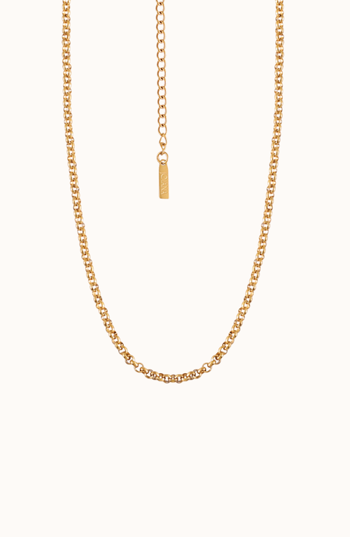 Joiana Jewelry The Everyday Belcher Chain In Gold