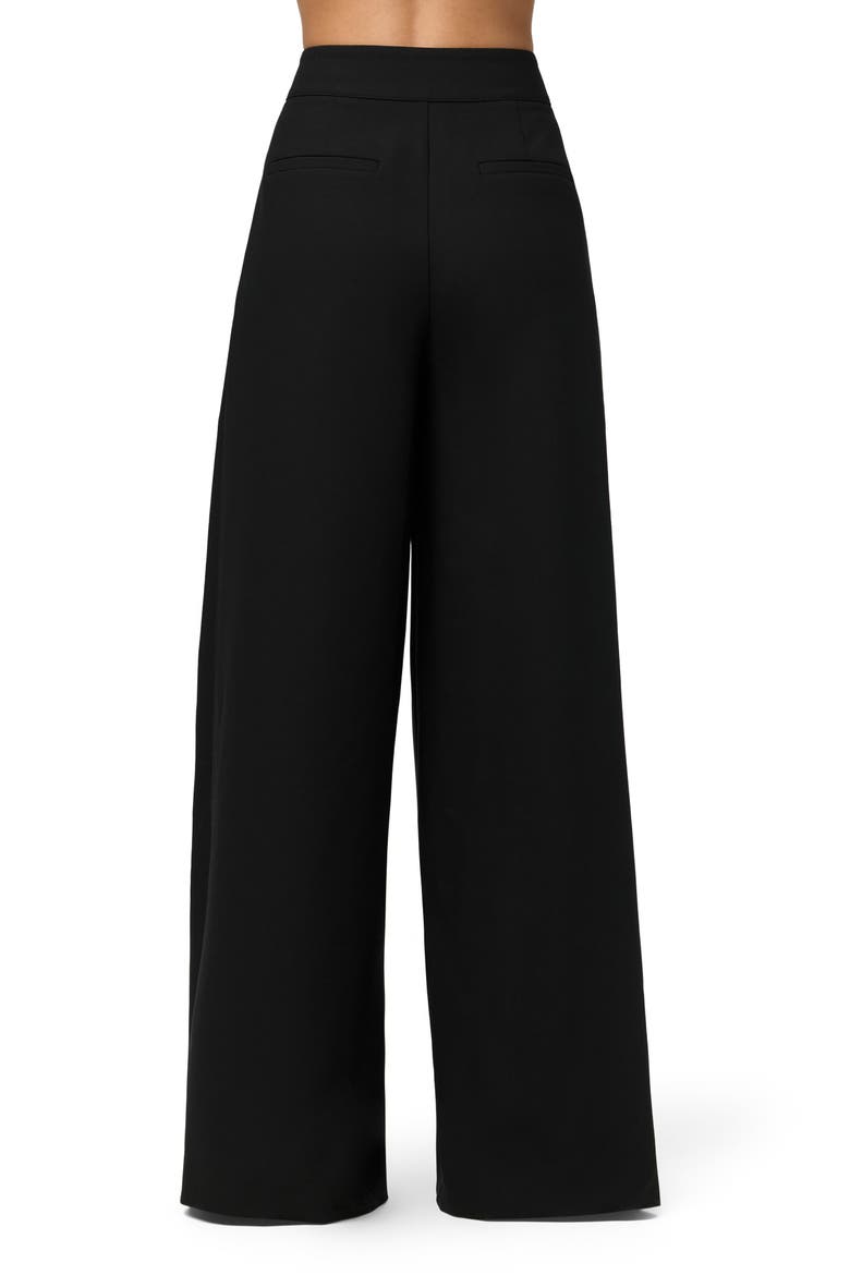 Pleated Wide Leg Pants, Alternate, color, BLACK