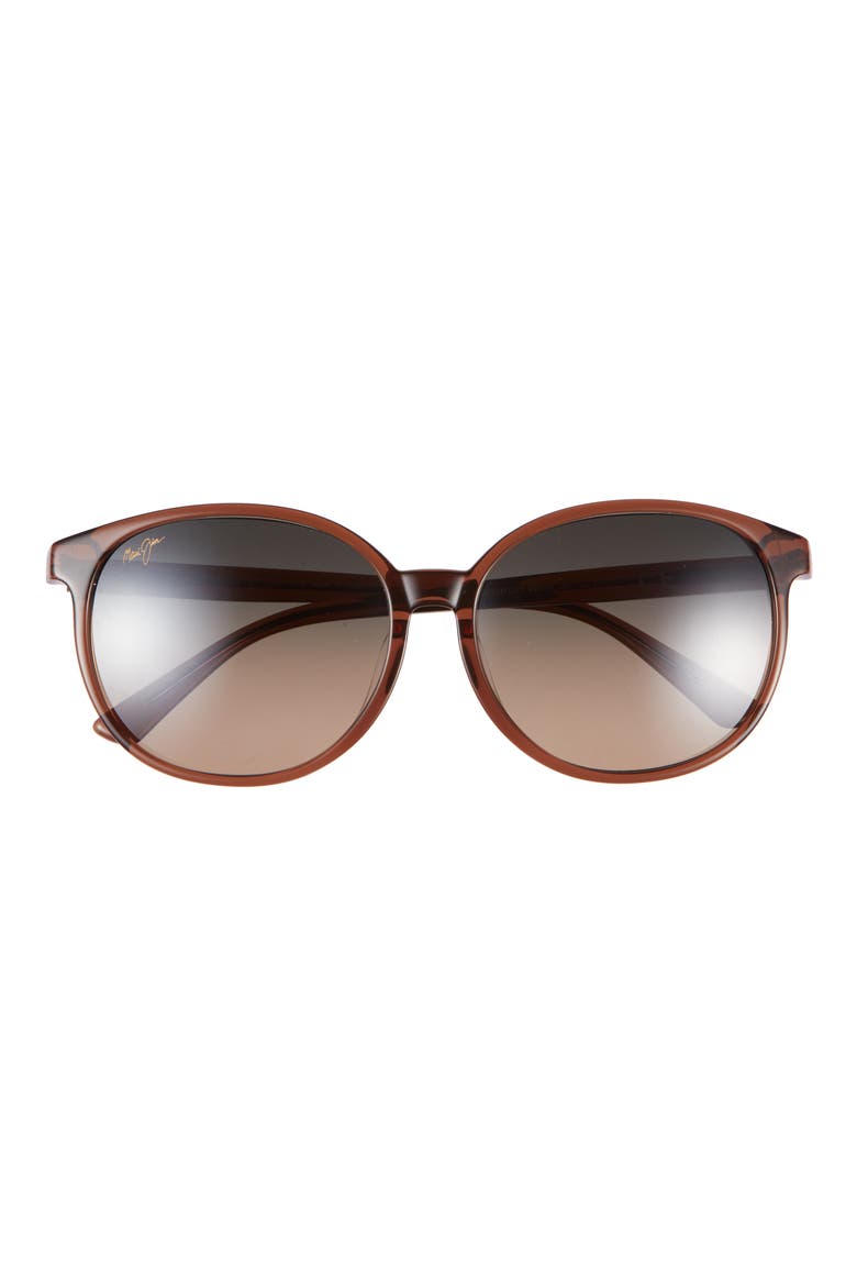Round Sunglasses, Main, color, BROWN BROWN BRONZE