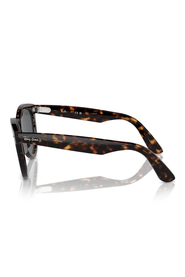 Way Wayfarer 51mm Oval Sunglasses, Alternate, color, HAVANA