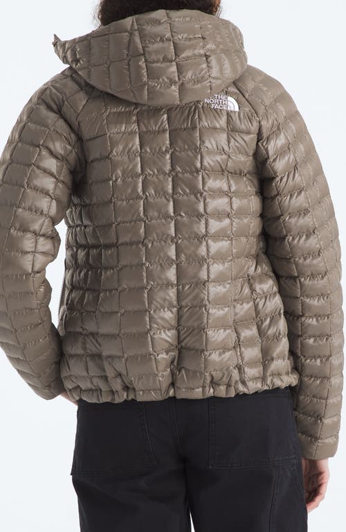 The North Face Thermoball Hooded Jacket In Brown