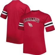 PROFILE Men's Cardinal Arizona Cardinals Big & Tall Arm Stripe T-Shirt