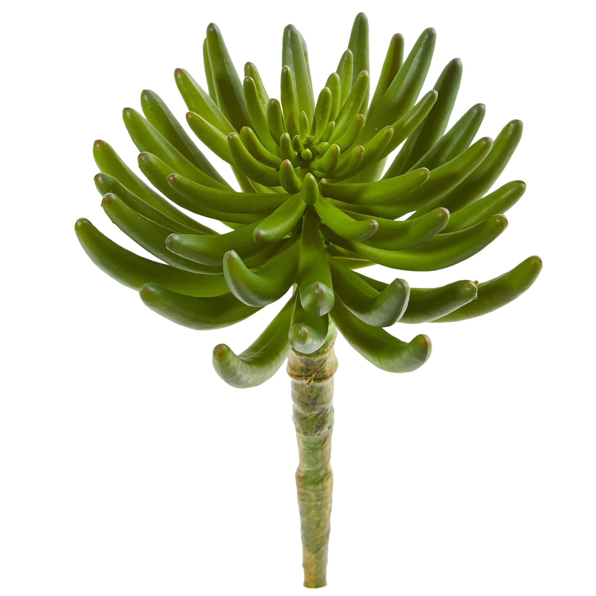 selected Green