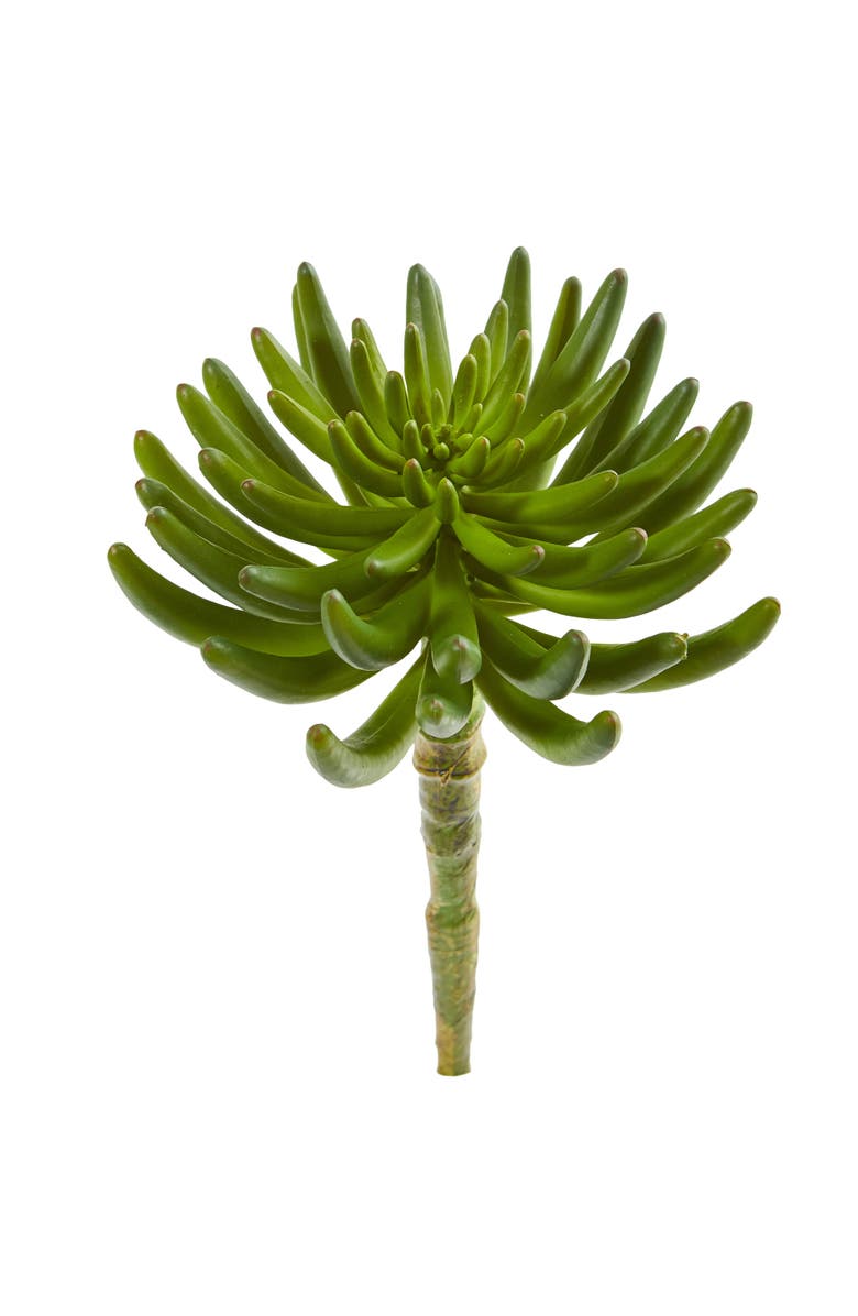 NEARLY NATURAL 12-in Succulent Artificial Plant, Main, color, Green