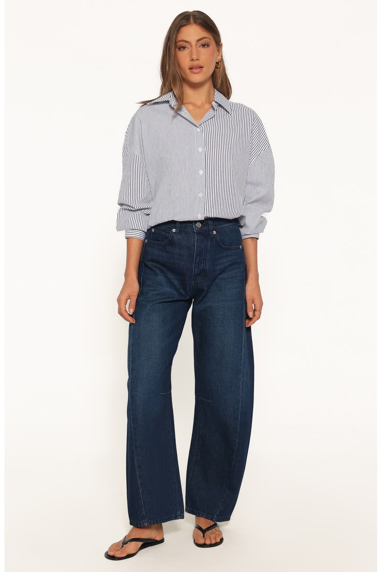 Elva Oversized Striped Cotton Shirt, Alternate, color, BLUE STRIPE
